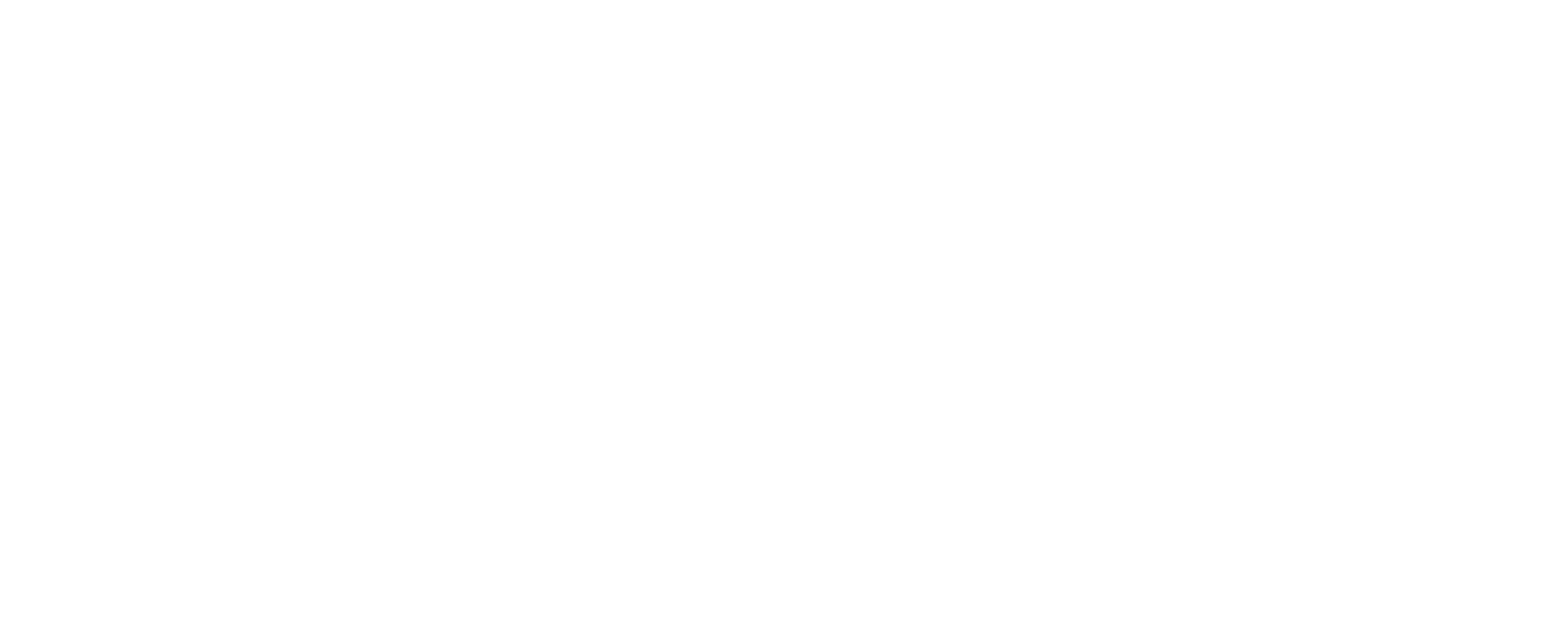 Auto Insights Logo